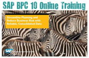 SAP NW BPC 10.0 Training Online