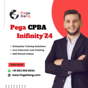 Become a CPBA Infinity'24 By IT Professionals - PegaGang 